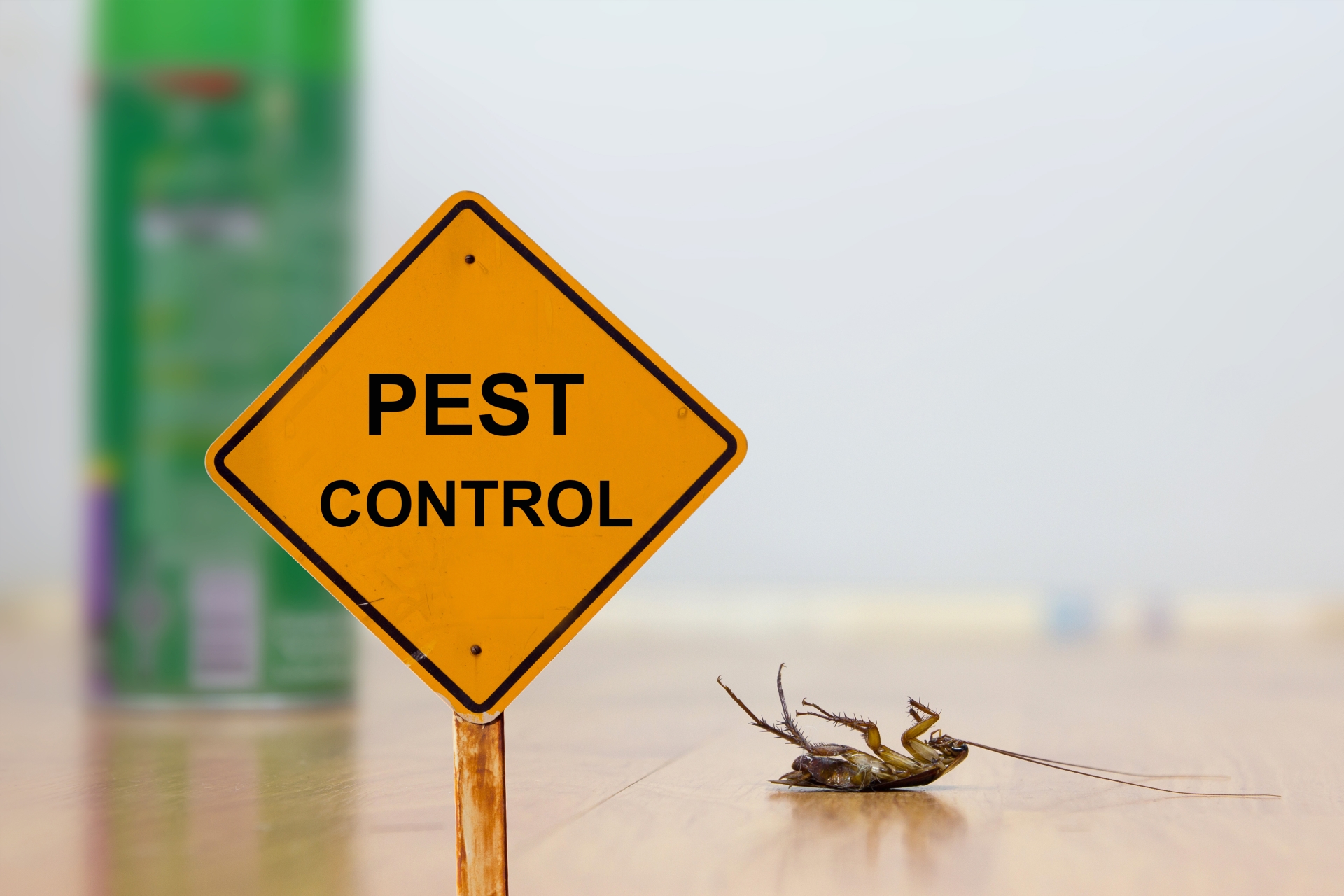 24 Hour Pest Control, Pest Control in Abbots Langley, Bedmond, WD5. Call Now 020 8166 9746